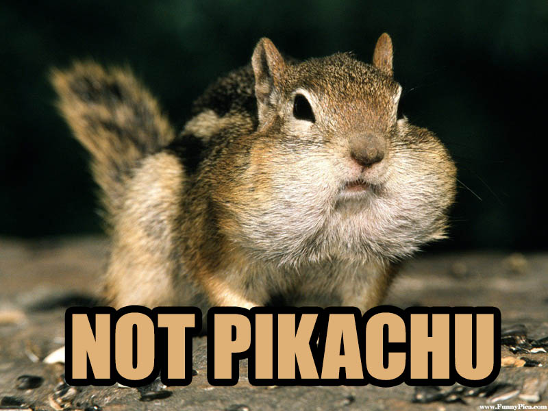 SquirrelPikachu2